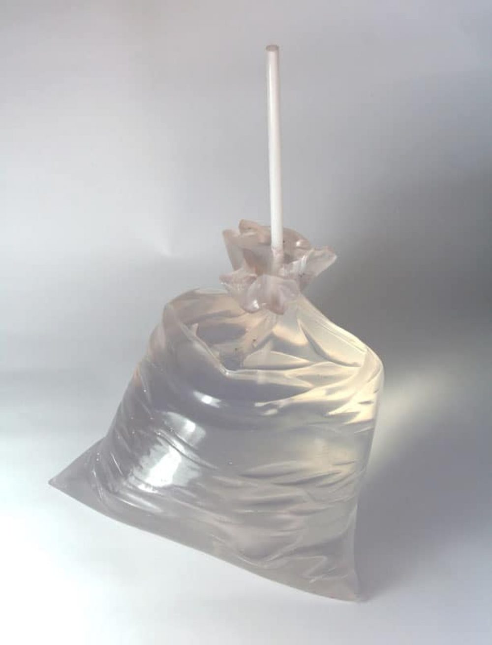 "Space in plastic bag" 2009